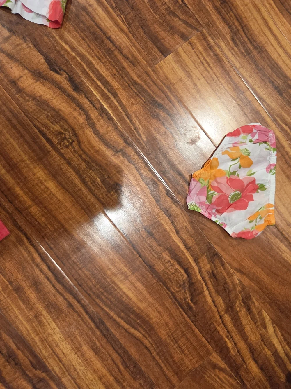 Janie and Jack EUC 12-18 months orange/pink/ivory floral dress and crop sweater
